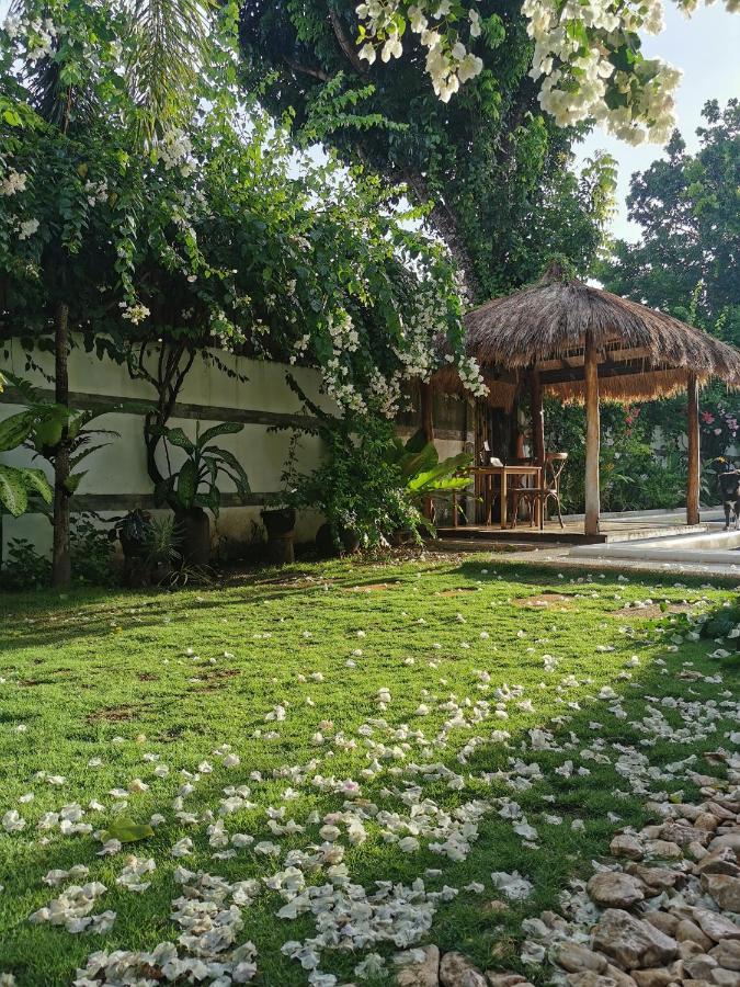 Alisa Garden Boutique Hotel Panglao Extérieur photo